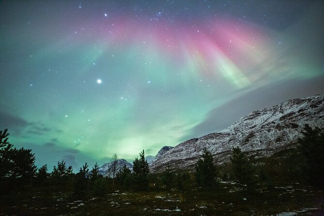 Reindeer Feeding and Sledding, Sami Storytelling Night Tour - Balsfjord opens the view