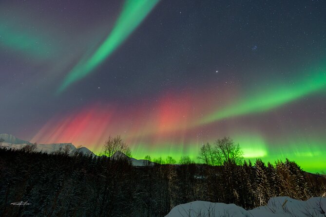 Reindeer Feeding and Sledding, Sami Storytelling Night Tour - A short sled ride, not a full expedition