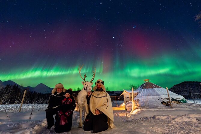 Reindeer Feeding and Sledding, Sami Storytelling Night Tour - Inside the lavvu for food and warmth