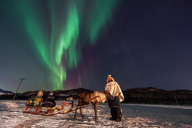Reindeer Feeding and Sledding, Sami Storytelling Night Tour - Sami storytelling around the fire