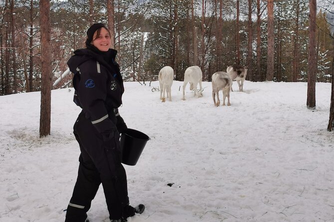REINDEER FEEDING - Join us for a unique moment with our reindeer - Is $97.37 a fair price for one hour?