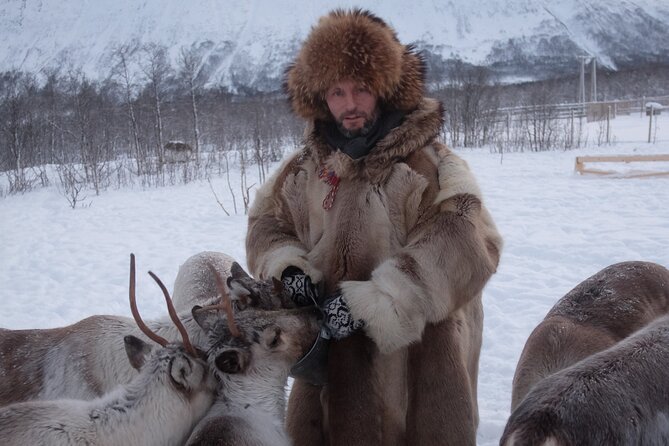 Reindeer feeding & Saami Culture - Reindeer stew and Sámi hospitality