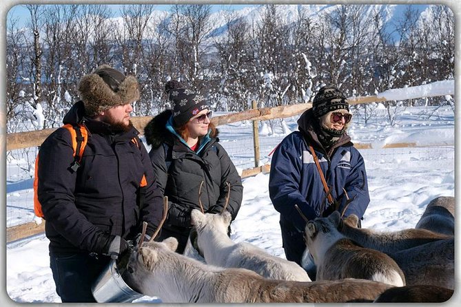 Reindeer feeding & Saami Culture - Sámi stories that give the visit meaning
