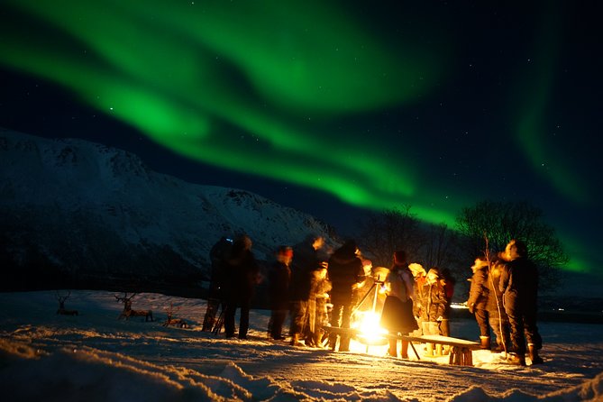 Reindeer feeding & Saami Culture with chance for Northern Lights - What the Sámi culture section adds
