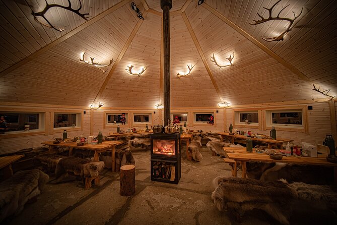 Reindeer Sledding and Feeding with Chance of Northern Lights Tromso - How the timing affects the experience