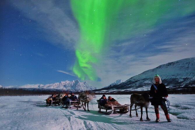 Reindeer Sledding and Feeding with Chance of Northern Lights Tromso - The 30-minute reindeer sled ride