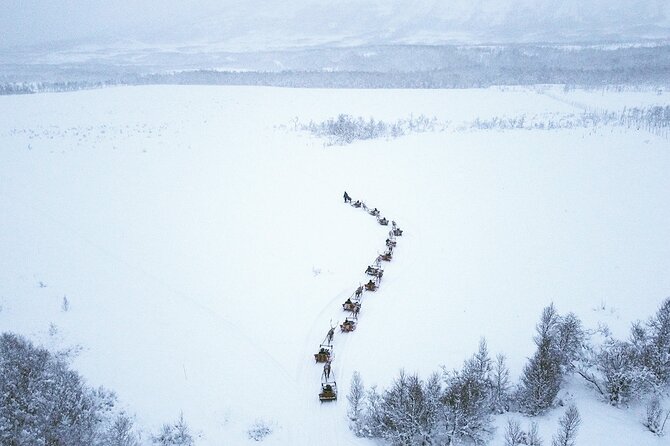 Reindeer Sledding and Feeding with Sami Culture in Tromso. - Key points to know before booking