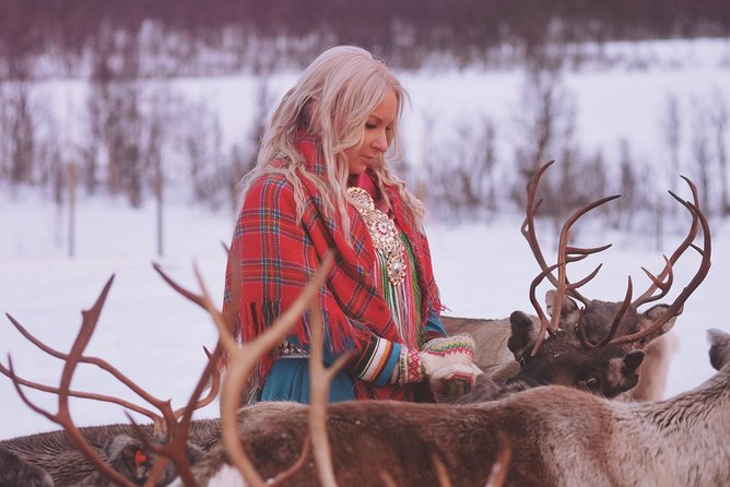 Reindeer Sledding and Feeding with Sami Culture in Tromso. - Listening to Sámi stories and modern culture