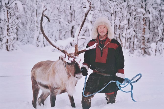 Reindeer Sledding and Feeding with Sami Culture in Tromso. - How the $237 price measures up