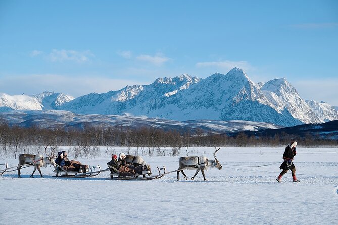 Reindeer Sledding and Feeding with Sami Culture in Tromso. - The group size and the feel of the visit