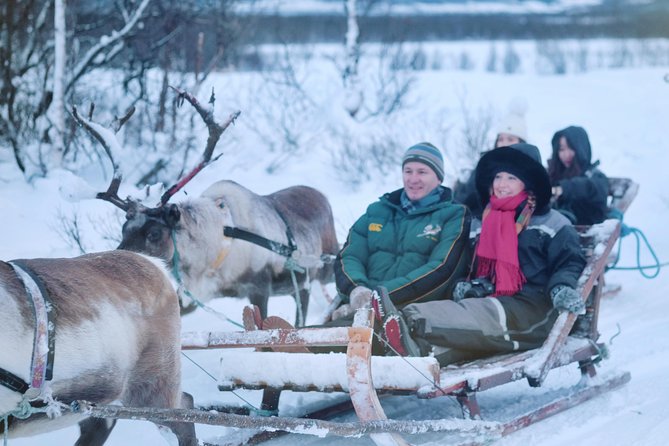 Reindeer Sledding and Feeding with Sami Culture in Tromso. - The 30-minute sleigh ride through snowy scenery