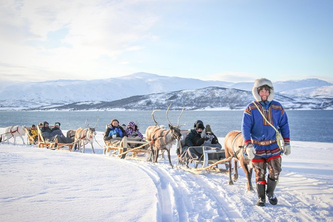 Reindeer Sledding Experience and Sami Culture Tour from Tromso - The five things to know before you go