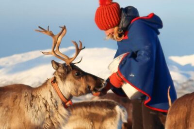 Reindeer Sledding Experience and Sami Culture Tour from Tromso