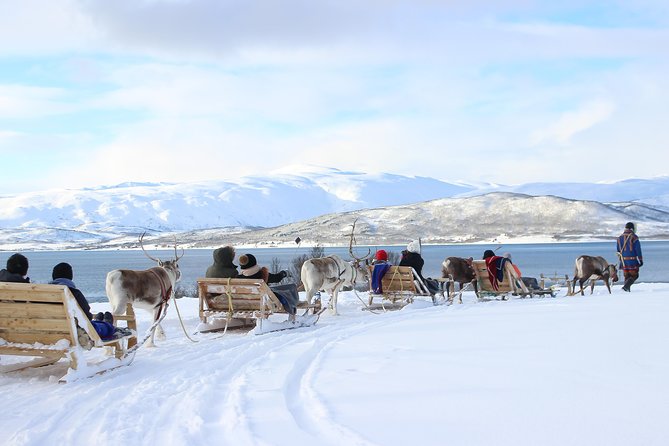 Reindeer Sledding Experience and Sami Culture Tour from Tromso - Group size, timing, and pace