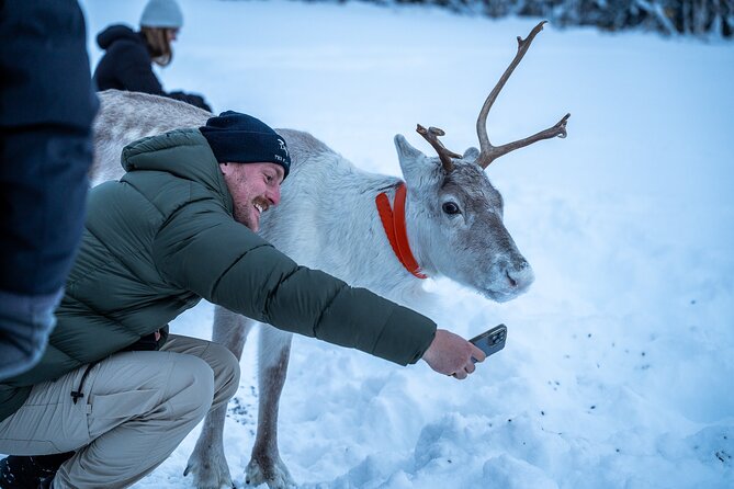 Reindeer Sledding, Feeding And Sami Culture At Reindeer Farm - Group size, clothing, and comfort