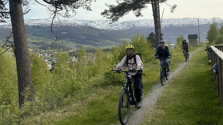 Rentals | E-Trekking Bike - What your ride can include