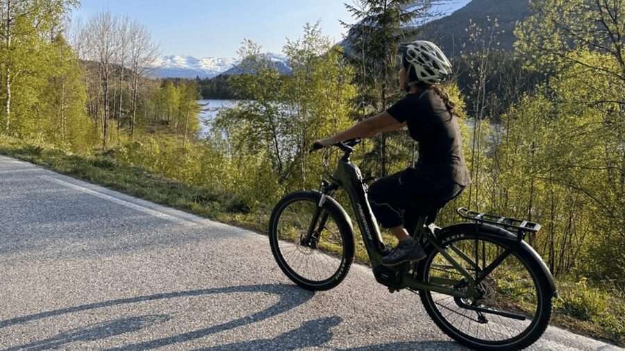 Rentals | E-Trekking Bike - What the $100 price buys you