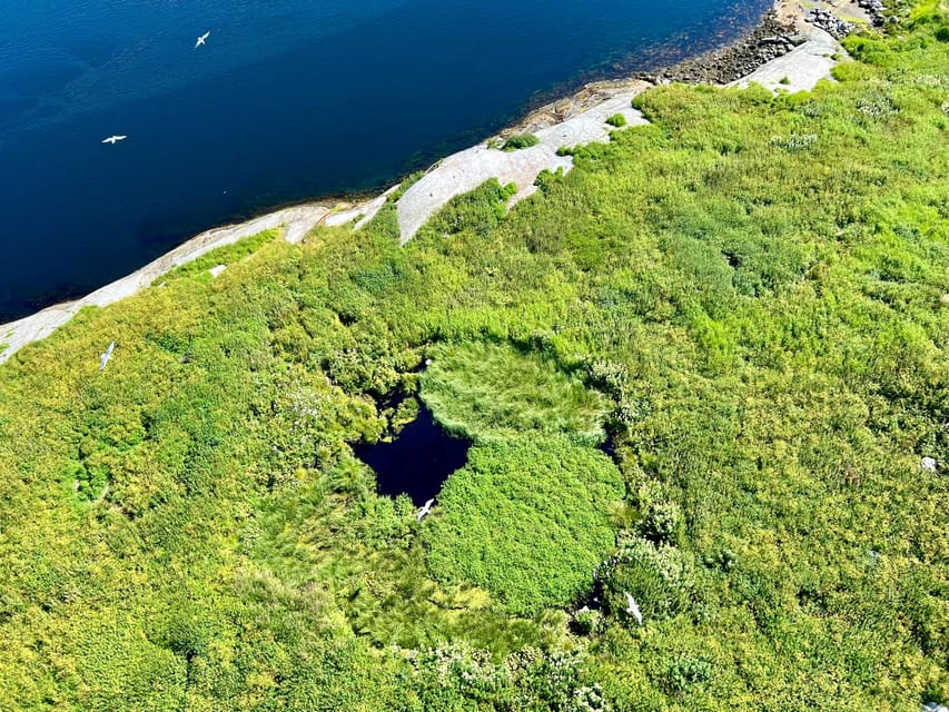 Saltstraumen: Arctic Adventure and Scenic Journey - Key points before you book