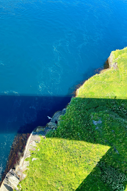 Saltstraumen: Arctic Adventure and Scenic Journey - Norwegian snacks with a view