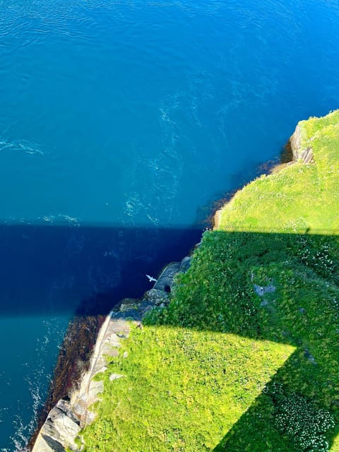 Saltstraumen: Arctic Adventure and Scenic Journey - Photography, including the optional film service