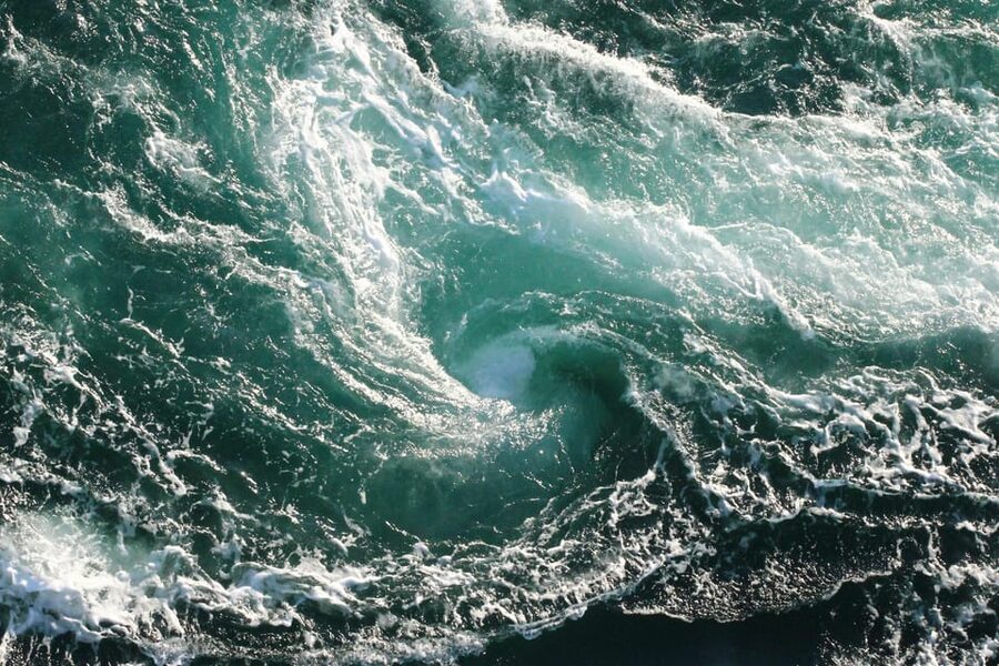 Saltstraumen: Arctic Adventure and Scenic Journey - What $206 means for value