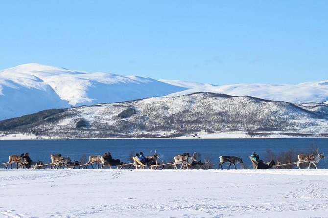 Sami Culture and Short Reindeer Sledding from Tromso - Warming up in the lavuu