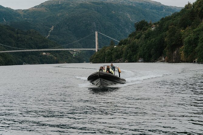 Scenic Hardangerfjord & Fyksesund RIB adventure from Norheimsund - A quick stop at Kvamsøy