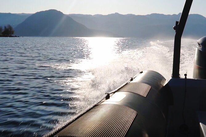Scenic RIB adventure to Hardangerfjord & Fyksesund from Øystese - What the guide adds to the experience