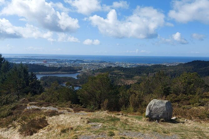 Scenic tour to Steinsfjellet, locals at Kringsjå & Rising Tide - Rising Tide and Haraldshaugen close the day
