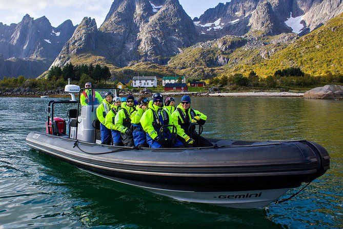 Sea Eagle Safari from Svolvær to Trollfjorden - Quick points before you book