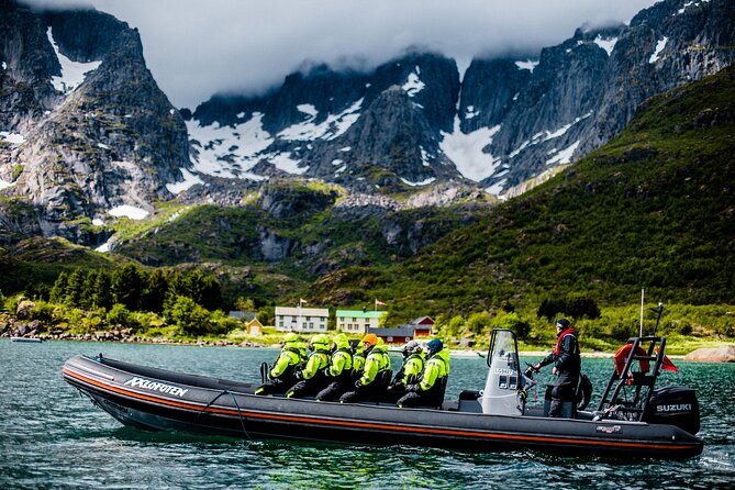 Sea Eagle Safari from Svolvær to Trollfjorden - Is $156.56 a fair price?