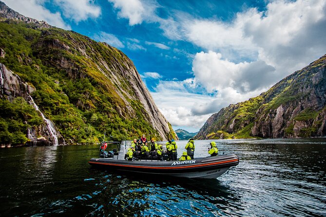 Sea Eagle Safari from Svolvær to Trollfjorden - Who will enjoy this tour most?