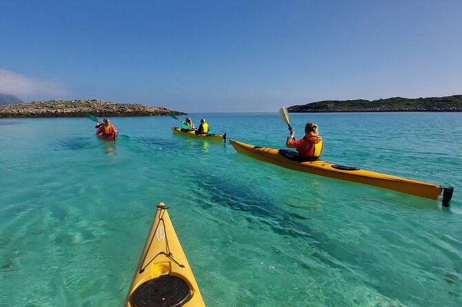 Sea Kayak Guided Tours on Skrova Island - Wildlife sightings around Skrova
