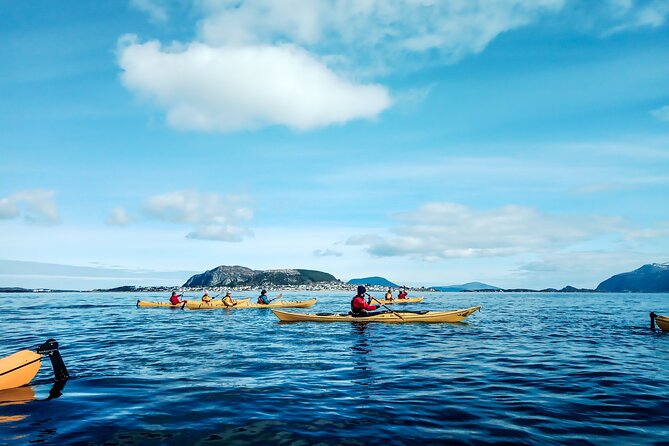 Sea Kayaking In Ålesund - Key points to know before you paddle