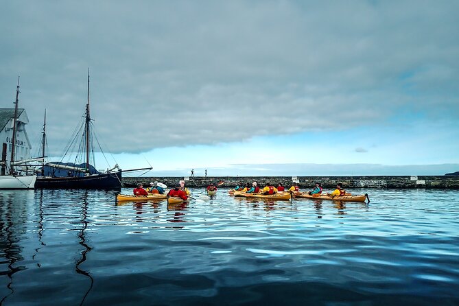 Sea Kayaking In Ålesund - Which visitors will enjoy this most