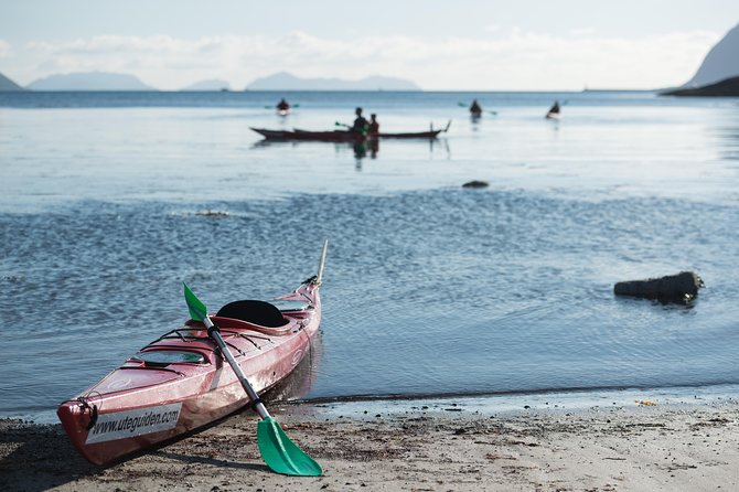 Seakayak And Hike in Ålesund - Mount Sukkertoppen and the view reward