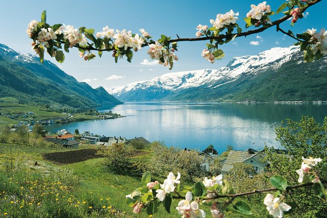 Self-Guided 22-Hour Round Trip From Oslo To Sognefjord With Flåm Railway - A short stop in Flåm