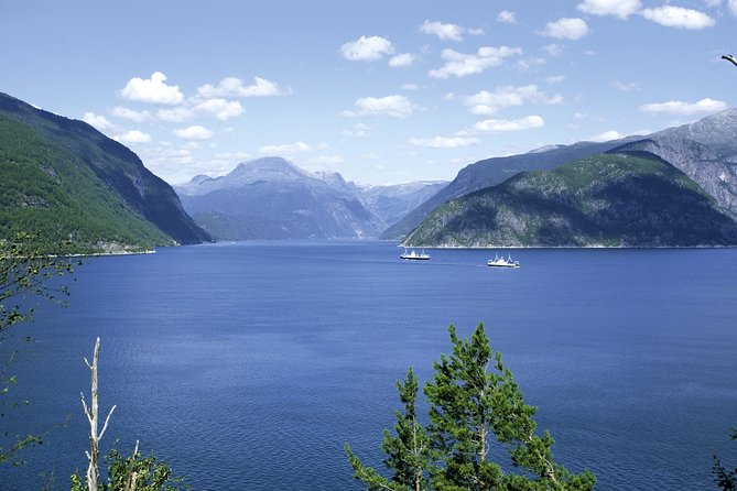 Self-Guided 22-Hour Round Trip From Oslo To Sognefjord With Flåm Railway - A short evening in Bergen