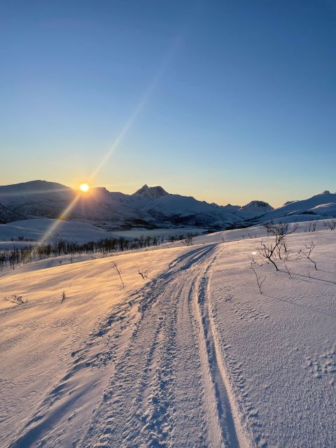 Senja Island: Winter Light Package Deal, 1 Day and 1 Night - Key points to know before you go