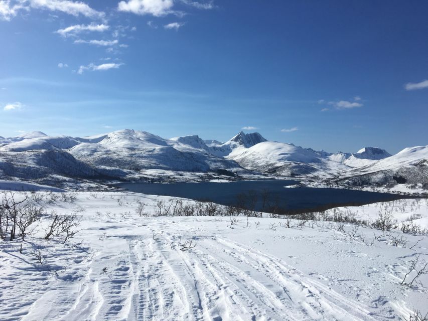Senja Island: Winter Light Package Deal, 1 Day and 1 Night - The return to Tromsø the next day