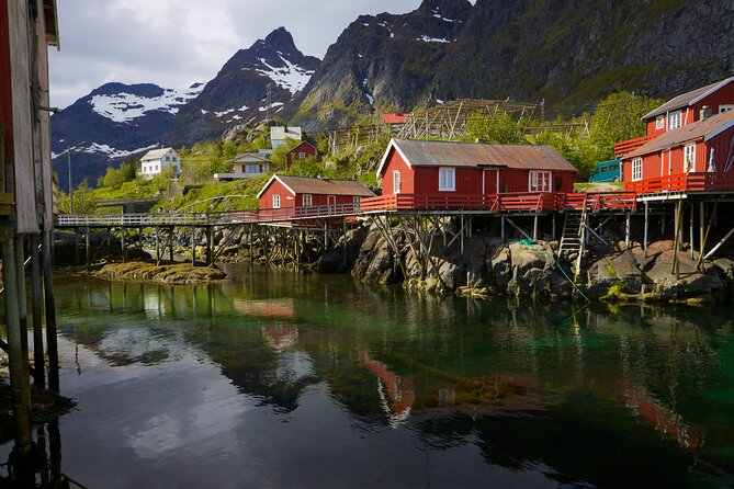 Shore Excursion Full day Private Tour in Lofoten - Reine: one hour in Lofoten’s most famous village