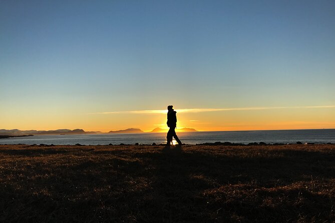 Shore Excursions Ålesund: Highlights Ålesund & Islands - Mount Aksla without the famous stair climb