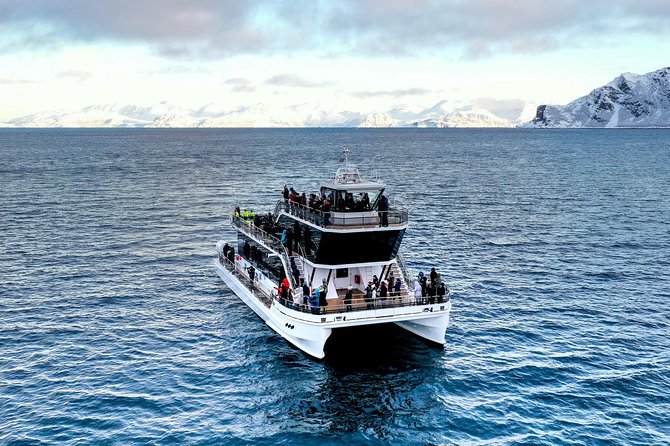 Silent Whale Watching by Hybrid-Electric Boat from Tromsø - Passing Lyngstuva lighthouse and the Lyngen Alps