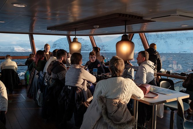 Silent Whale Watching by Hybrid-Electric Boat from Tromsø - What silent whale watching really means