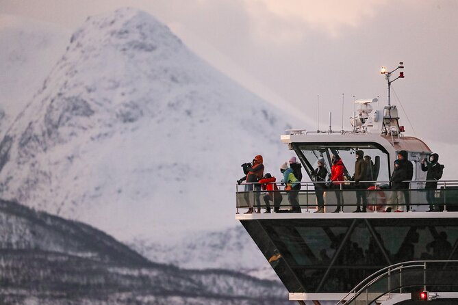 Silent Whale Watching by Hybrid-Electric Boat from Tromsø - The crew and the educational side of the trip