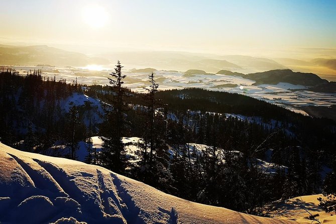 Skiing in winter wonderland - Skiing Among Trondheim’s Trees