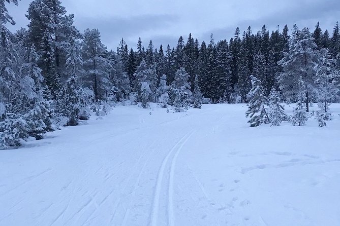 Skiing in winter wonderland - When Sledges Make the Day Easier