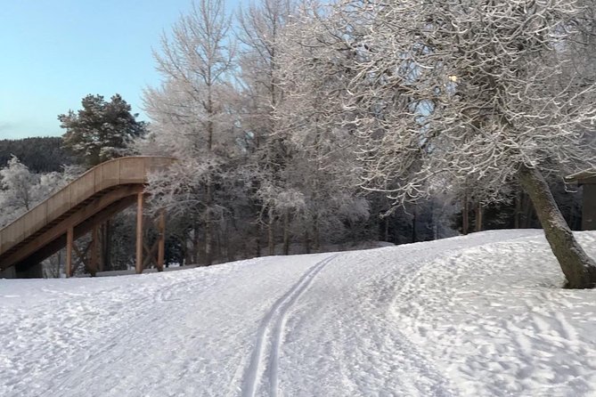 Skiing in winter wonderland - Is $232.82 Good Value?