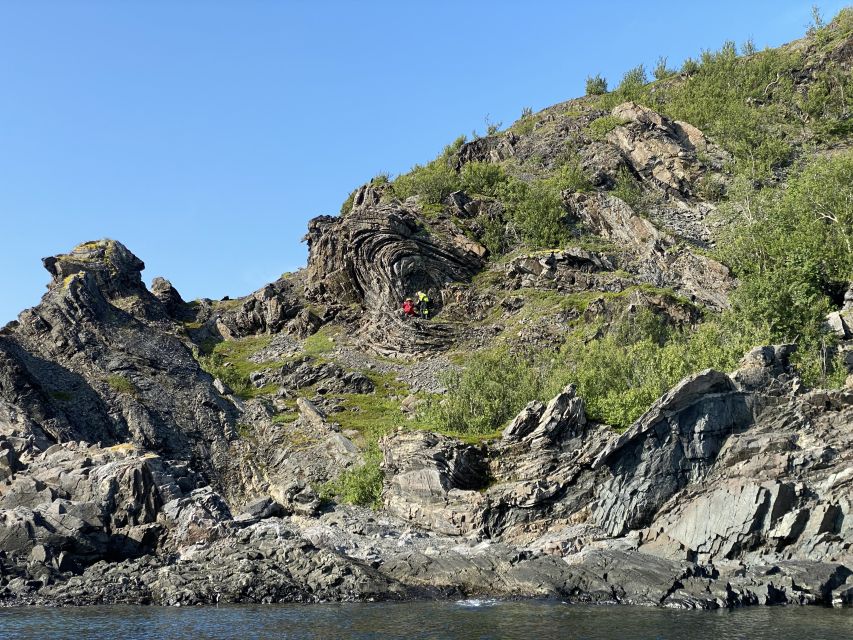 Skjervøy: Birds and Wildlife of Arctic Norway - Key points to know before booking