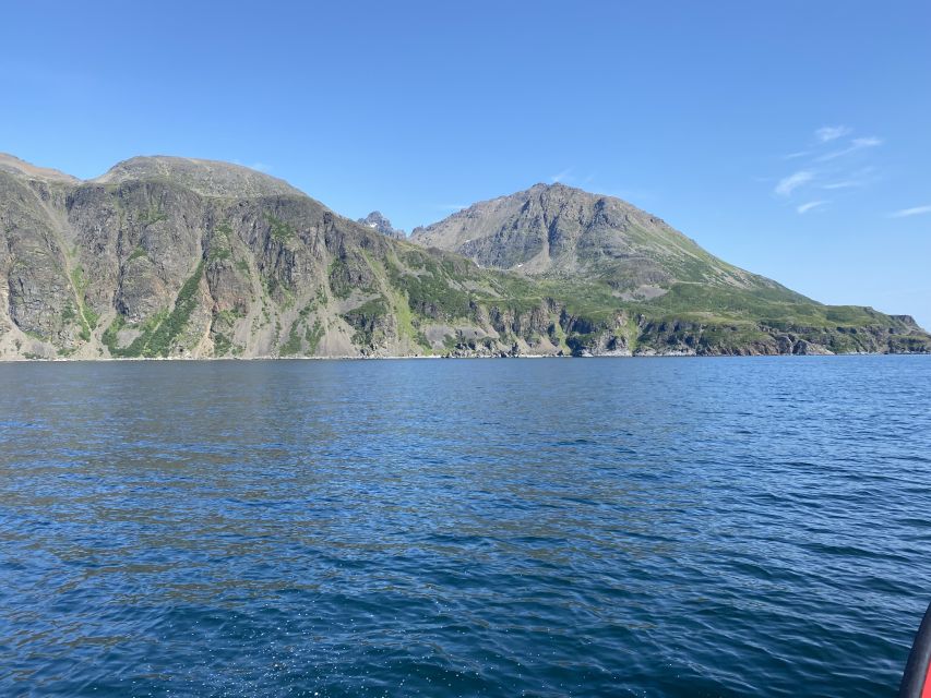 Skjervøy: Birds and Wildlife of Arctic Norway - Is $165 good value?